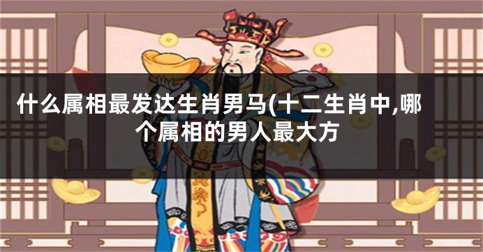 什么属相最发达生肖男马(十二生肖中,哪个属相的男人最大方