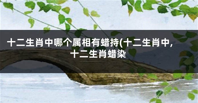 十二生肖中哪个属相有蜡持(十二生肖中,十二生肖蜡染