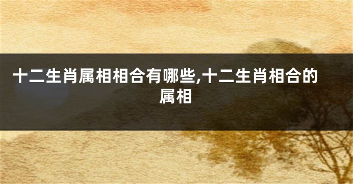 十二生肖属相相合有哪些,十二生肖相合的属相