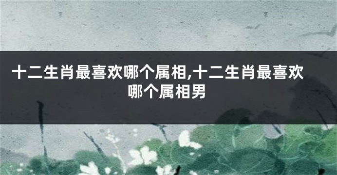 十二生肖最喜欢哪个属相,十二生肖最喜欢哪个属相男