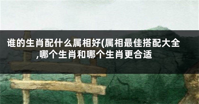 谁的生肖配什么属相好(属相最佳搭配大全,哪个生肖和哪个生肖更合适