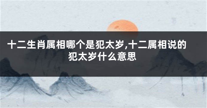 十二生肖属相哪个是犯太岁,十二属相说的犯太岁什么意思