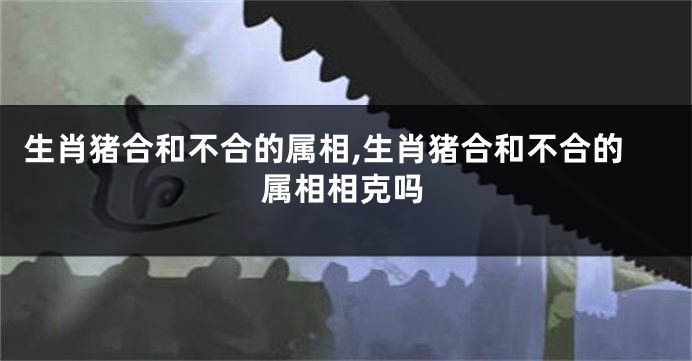 生肖猪合和不合的属相,生肖猪合和不合的属相相克吗