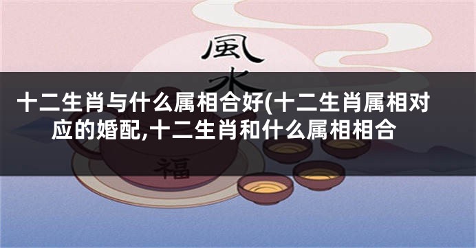 十二生肖与什么属相合好(十二生肖属相对应的婚配,十二生肖和什么属相相合