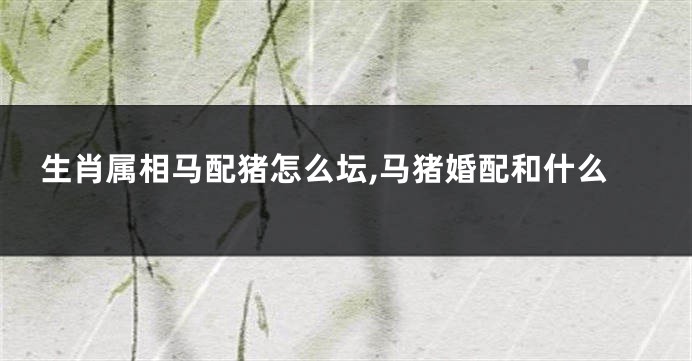 生肖属相马配猪怎么坛,马猪婚配和什么