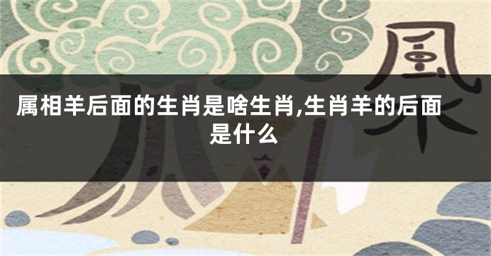 属相羊后面的生肖是啥生肖,生肖羊的后面是什么