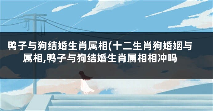 鸭子与狗结婚生肖属相(十二生肖狗婚姻与属相,鸭子与狗结婚生肖属相相冲吗