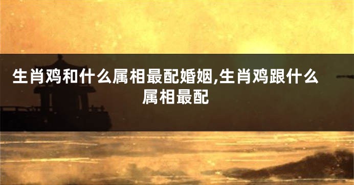 生肖鸡和什么属相最配婚姻,生肖鸡跟什么属相最配