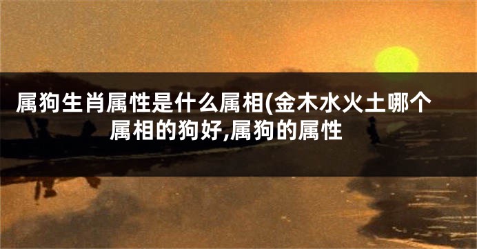 属狗生肖属性是什么属相(金木水火土哪个属相的狗好,属狗的属性