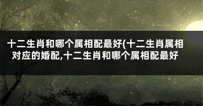 十二生肖和哪个属相配最好(十二生肖属相对应的婚配,十二生肖和哪个属相配最好
