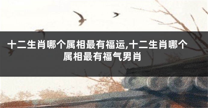 十二生肖哪个属相最有福运,十二生肖哪个属相最有福气男肖