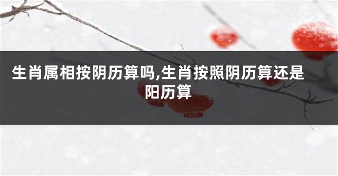 生肖属相按阴历算吗,生肖按照阴历算还是阳历算