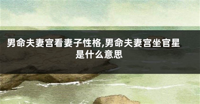 男命夫妻宫看妻子性格,男命夫妻宫坐官星是什么意思