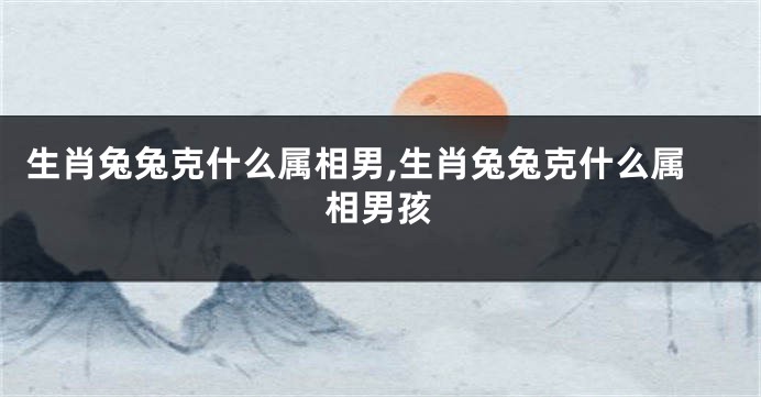 生肖兔兔克什么属相男,生肖兔兔克什么属相男孩