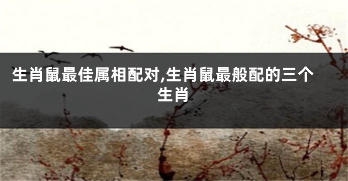 生肖鼠最佳属相配对,生肖鼠最般配的三个生肖