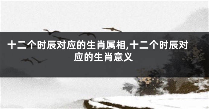 十二个时辰对应的生肖属相,十二个时辰对应的生肖意义