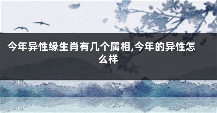 今年异性缘生肖有几个属相,今年的异性怎么样