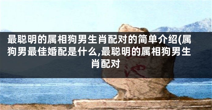 最聪明的属相狗男生肖配对的简单介绍(属狗男最佳婚配是什么,最聪明的属相狗男生肖配对