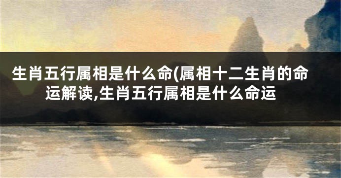 生肖五行属相是什么命(属相十二生肖的命运解读,生肖五行属相是什么命运