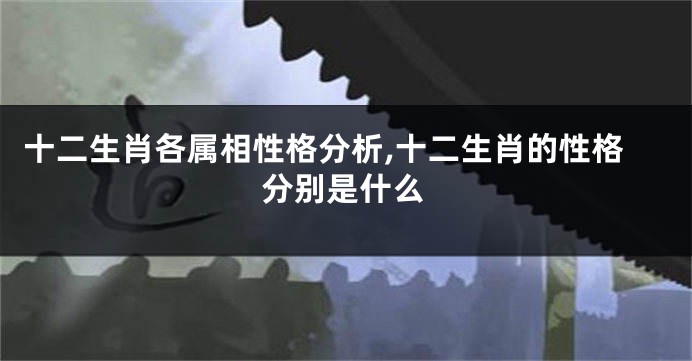 十二生肖各属相性格分析,十二生肖的性格分别是什么