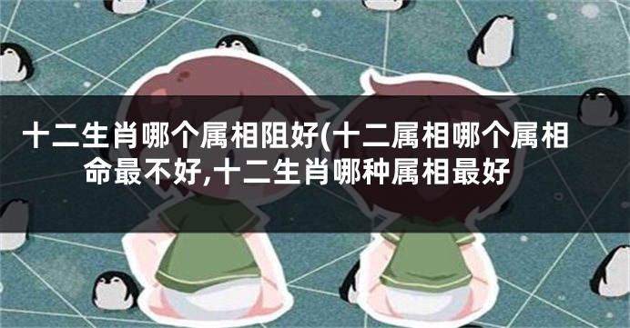十二生肖哪个属相阻好(十二属相哪个属相命最不好,十二生肖哪种属相最好
