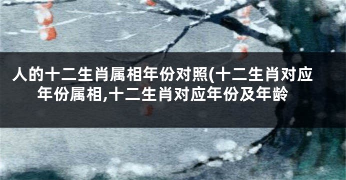 人的十二生肖属相年份对照(十二生肖对应年份属相,十二生肖对应年份及年龄