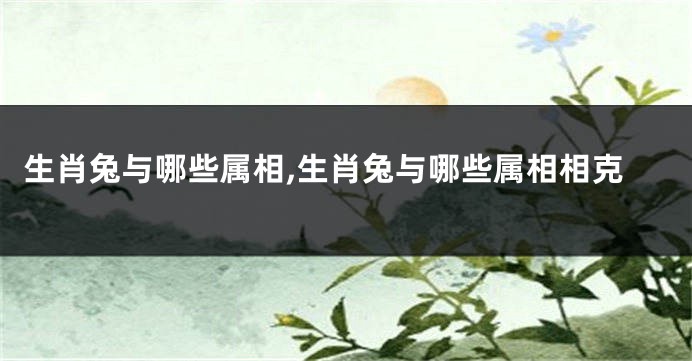 生肖兔与哪些属相,生肖兔与哪些属相相克
