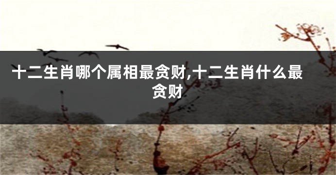 十二生肖哪个属相最贪财,十二生肖什么最贪财