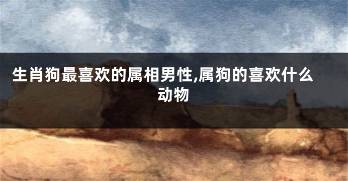生肖狗最喜欢的属相男性,属狗的喜欢什么动物