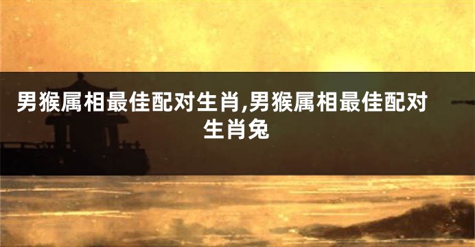 男猴属相最佳配对生肖,男猴属相最佳配对生肖兔