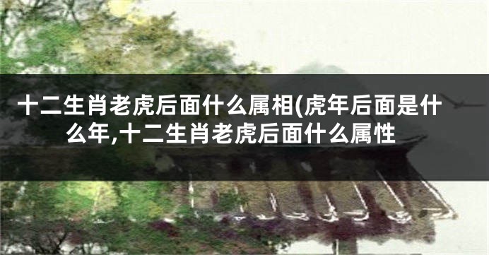 十二生肖老虎后面什么属相(虎年后面是什么年,十二生肖老虎后面什么属性