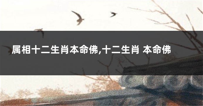 属相十二生肖本命佛,十二生肖 本命佛