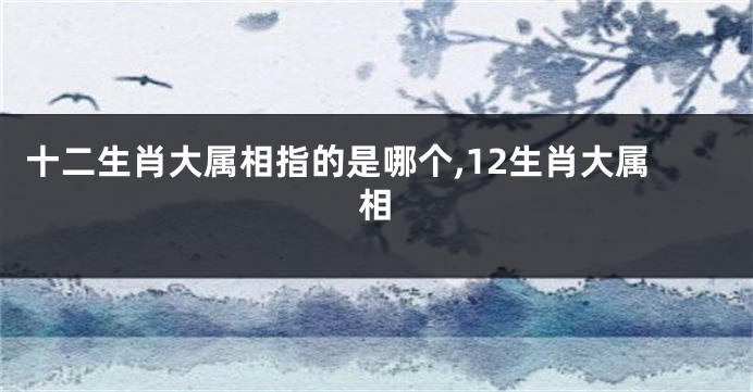 十二生肖大属相指的是哪个,12生肖大属相