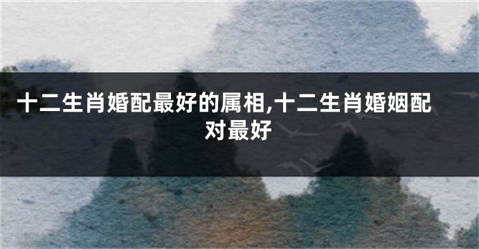 十二生肖婚配最好的属相,十二生肖婚姻配对最好