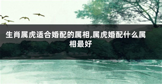 生肖属虎适合婚配的属相,属虎婚配什么属相最好