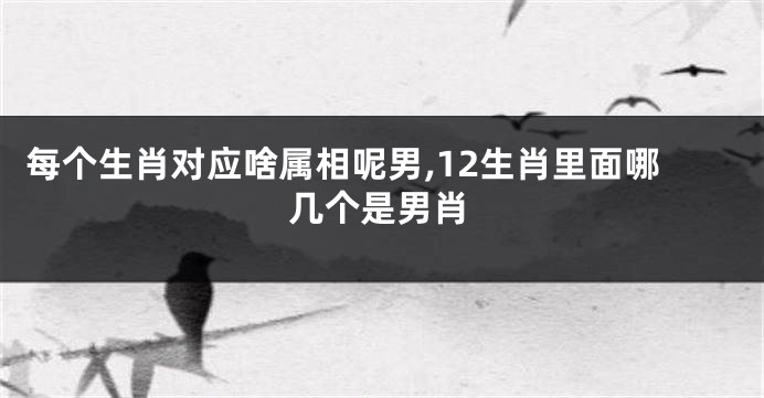 每个生肖对应啥属相呢男,12生肖里面哪几个是男肖