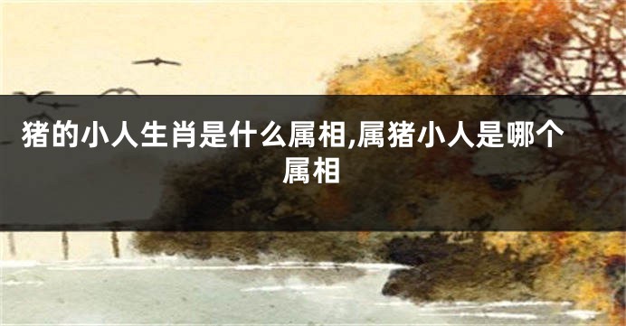 猪的小人生肖是什么属相,属猪小人是哪个属相