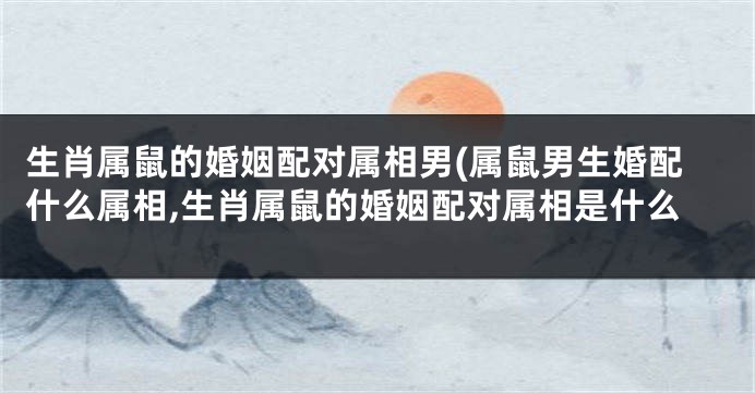 生肖属鼠的婚姻配对属相男(属鼠男生婚配什么属相,生肖属鼠的婚姻配对属相是什么