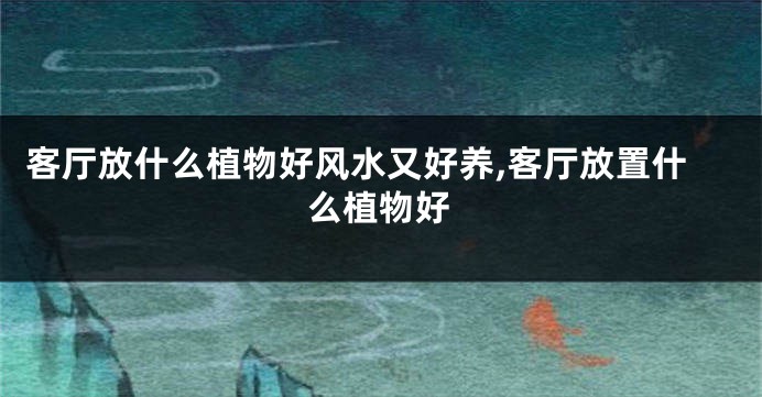 客厅放什么植物好风水又好养,客厅放置什么植物好