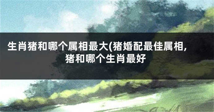 生肖猪和哪个属相最大(猪婚配最佳属相,猪和哪个生肖最好