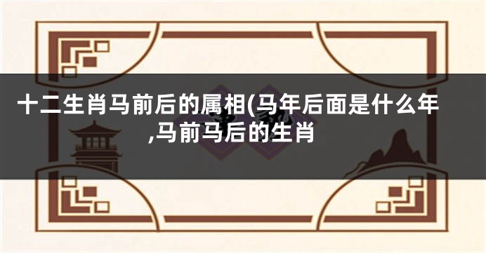 十二生肖马前后的属相(马年后面是什么年,马前马后的生肖