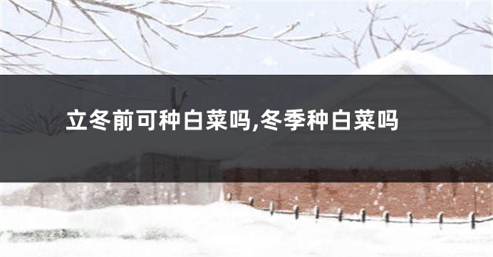 立冬前可种白菜吗,冬季种白菜吗