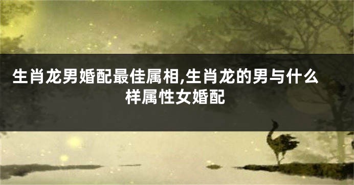 生肖龙男婚配最佳属相,生肖龙的男与什么样属性女婚配