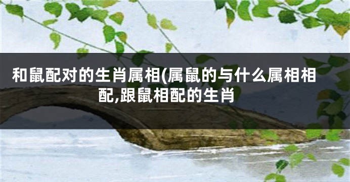 和鼠配对的生肖属相(属鼠的与什么属相相配,跟鼠相配的生肖
