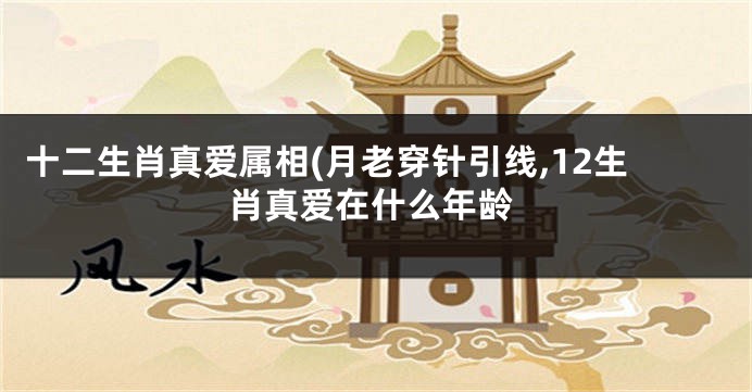 十二生肖真爱属相(月老穿针引线,12生肖真爱在什么年龄