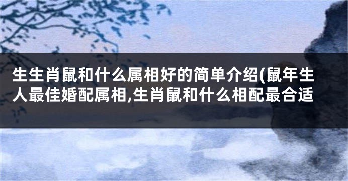 生生肖鼠和什么属相好的简单介绍(鼠年生人最佳婚配属相,生肖鼠和什么相配最合适