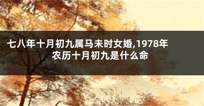 七八年十月初九属马未时女婚,1978年农历十月初九是什么命