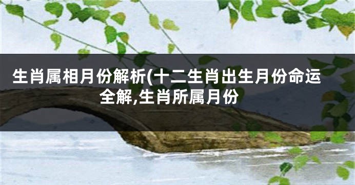 生肖属相月份解析(十二生肖出生月份命运全解,生肖所属月份