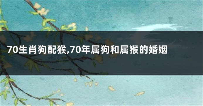 70生肖狗配猴,70年属狗和属猴的婚姻