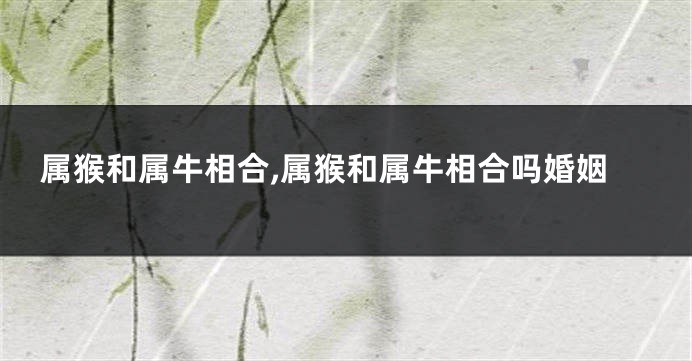 属猴和属牛相合,属猴和属牛相合吗婚姻